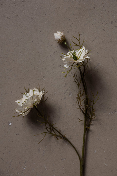 Blomst - Nigella H55cm Hvit