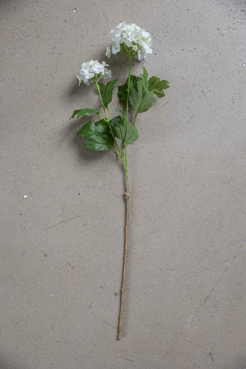 Blomst - Olvon H60cm
