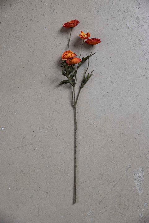 Blomst - Valmue H65cm Oransje