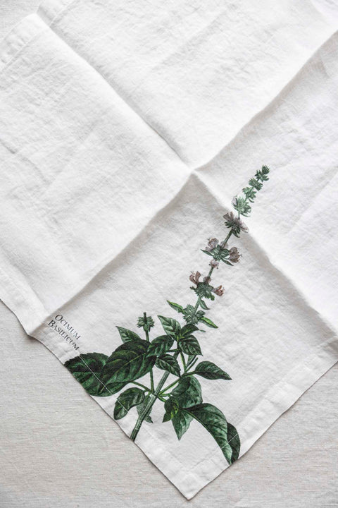 Tøyserviett - Aromatic Herbs 45x45cm Basilikum