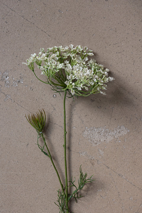 Blomst - Allium H70cm Hvit