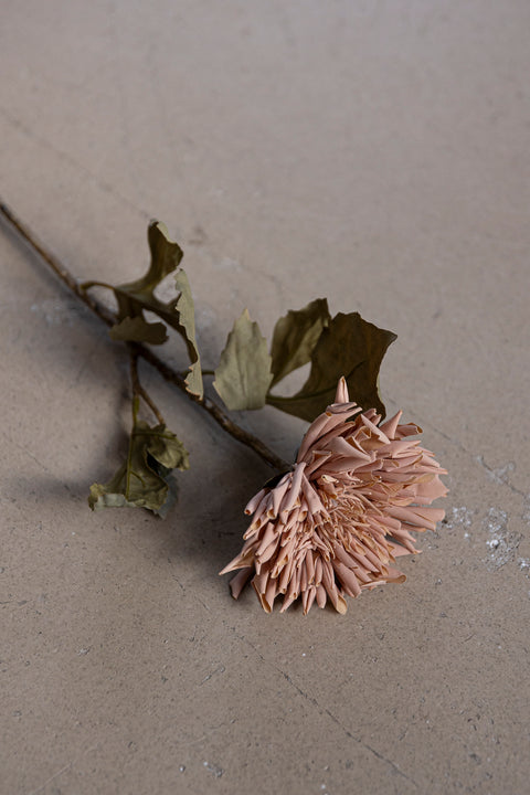 Blomst - Chrysanthemum H60cm