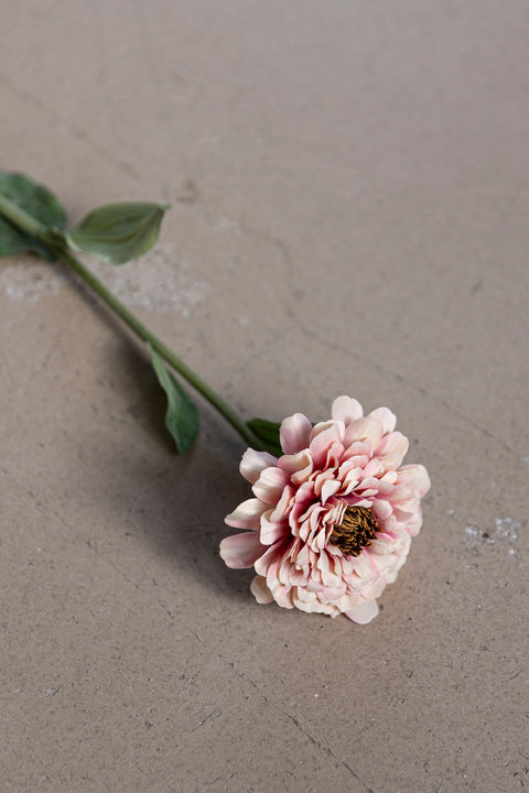 Blomst - Zinnia H58cm Rosa