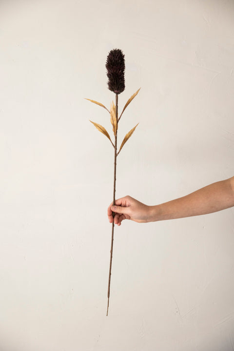 Blomst - Banksia H75cm Brun