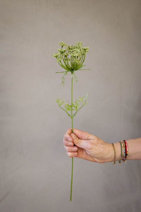 Blomst - Trachelium H45cm