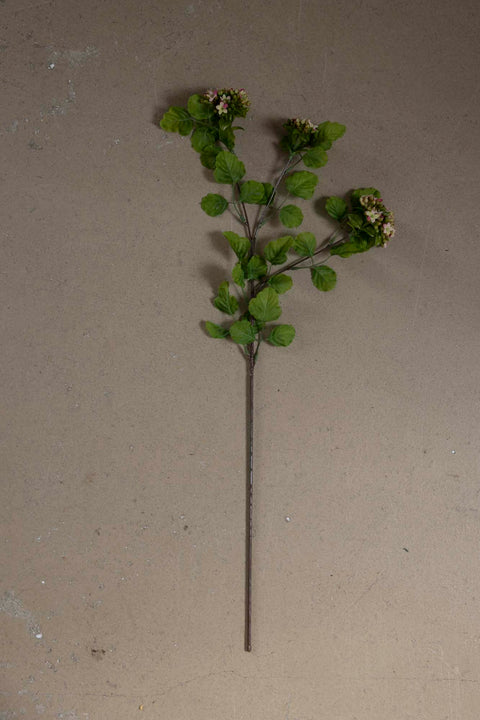 Blomst - Calandiva H65cm