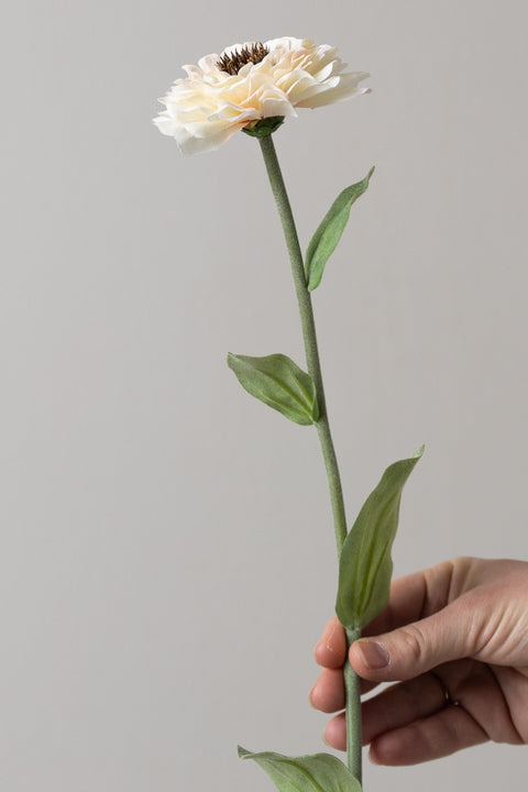 Blomst - Zinnia H58cm
