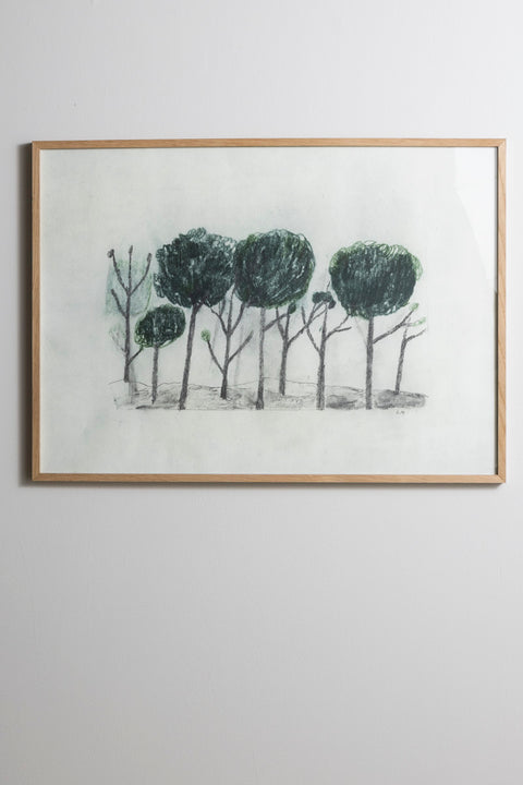 Plakat -  Trees 50x70