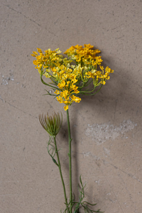 Blomst - Allium H70cm Gul