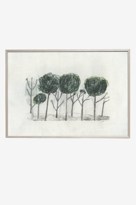 Plakat -  Trees 50x70