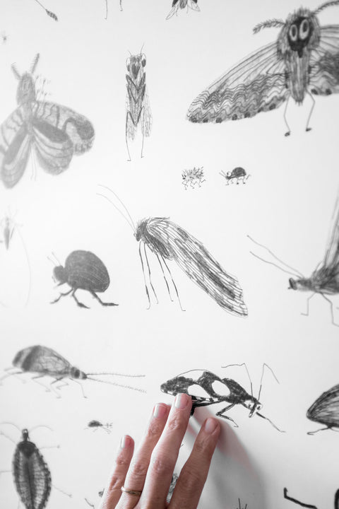 Plakat - Bugs 50x70cm
