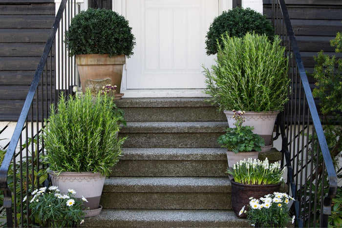 På trappa hos Bolina-Cathrine