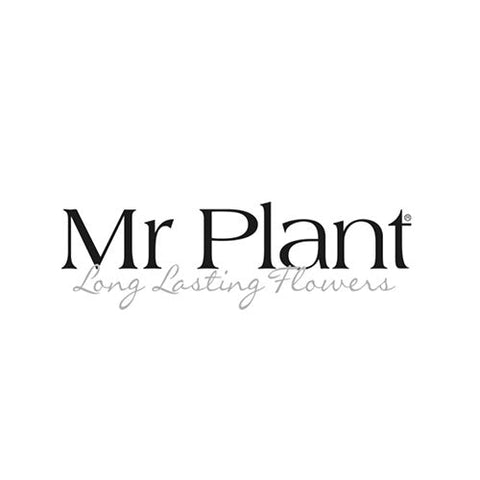 Mr Plant - jul