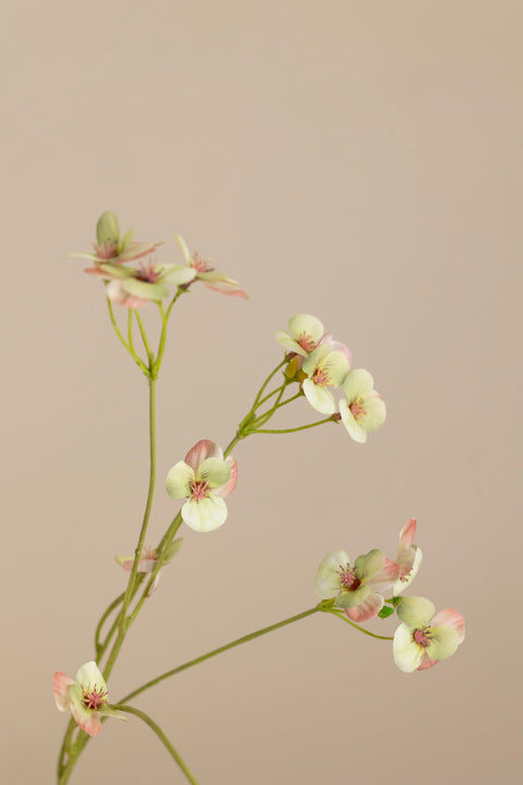 Blomst - Pensé H63cm Grønn