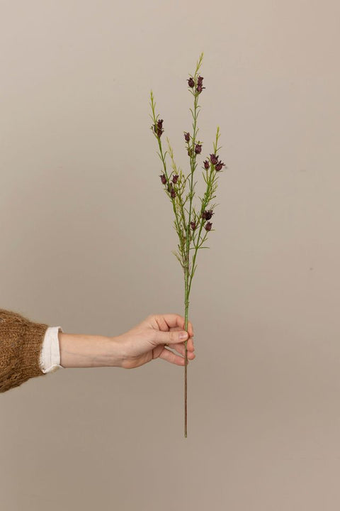 Blomst - Røsslyng Burgunder