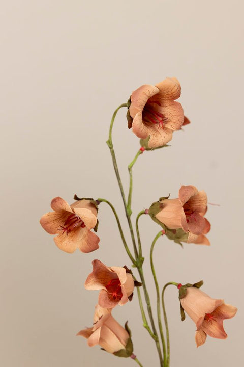 Blomst - Blåklokke H85cm Fersken