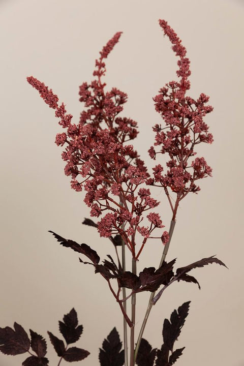 Blomst - Sølvlys H80cm Burgunder