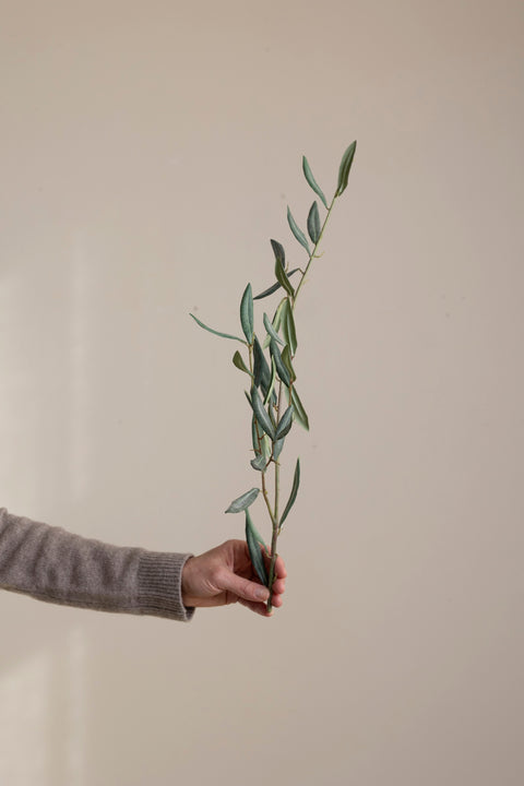 Kvist - Oliven H50cm