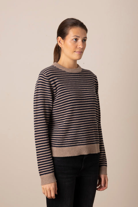 Genser - Cameron Jumper Brown/Navy Stripe