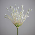 Blomst - Allium H107cm Hvit