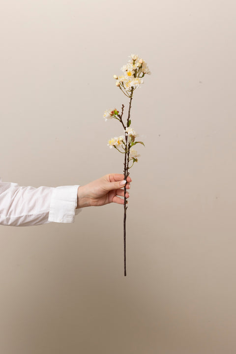 Gren - Kirsebærblomst H60cm Cream