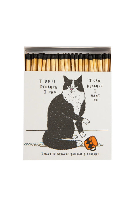 Fyrstikker - I Do It Because I Can