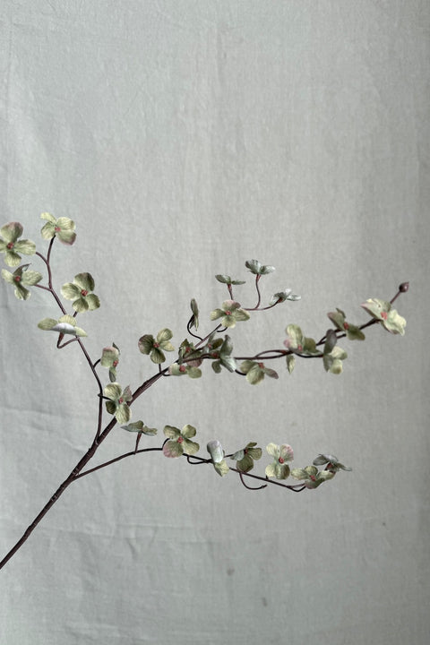 Blomst - Hortensia H72cm Grønn