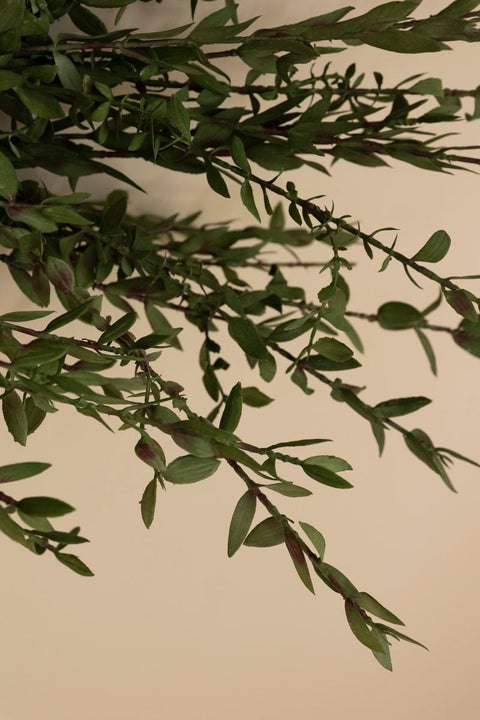 Krans - Eucalyptus Dia75cm S