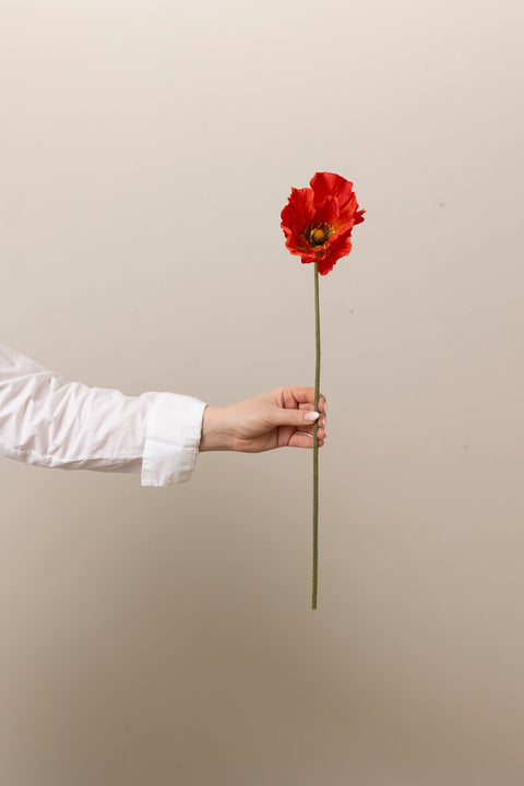 Blomst - Valmue H55cm Rød