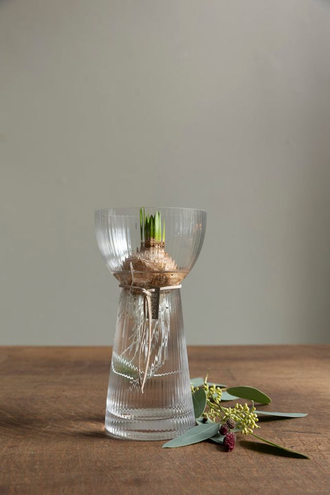 Løkvase - H19cm Riflet Glass
