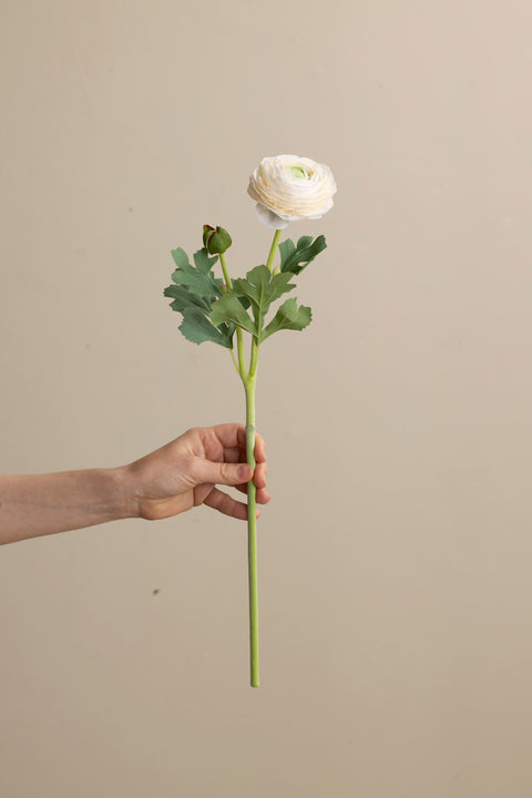 Blomst - Ranunkel H50cm Rosa