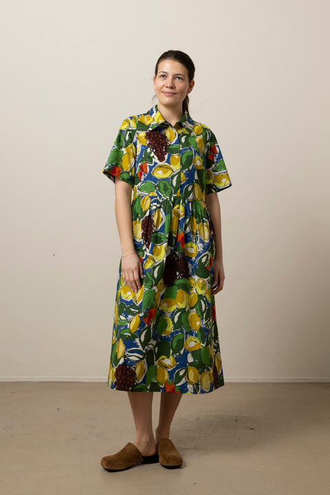 Kjole - Sketched Fruit Print Shirt Dress Verdigris/Multi
