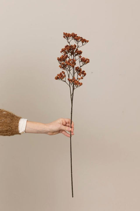 Kvist - Bærkvist H80cm Rød