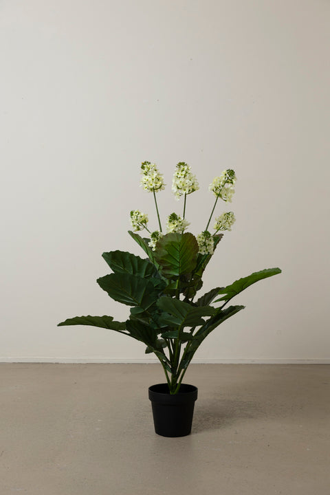 Potteplante - Cole H105cm Grønn