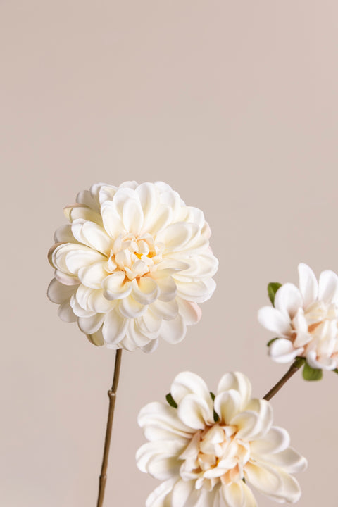 Blomst - Dahlia H70cm Cream