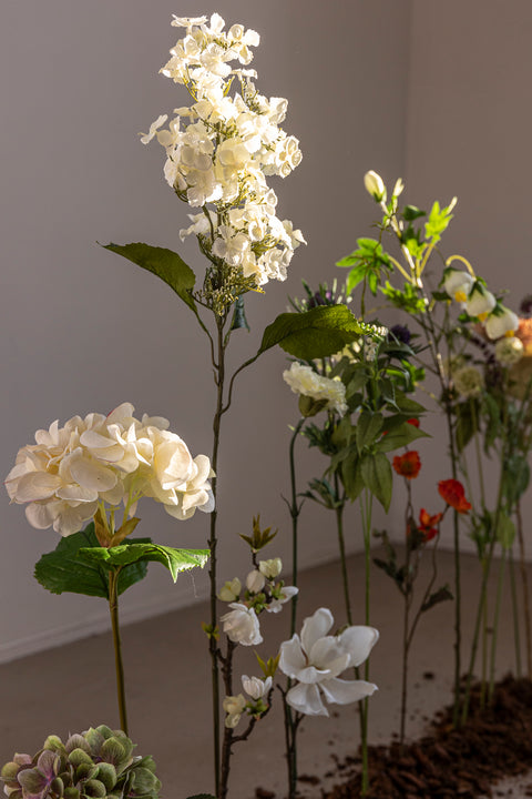 Blomst - Hortensia H55cm Hvit