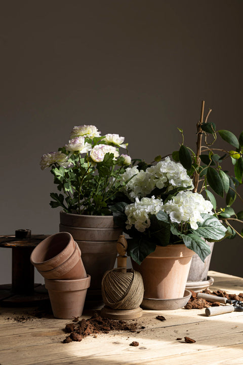 Blomsterpotte - Vaso Terracotta