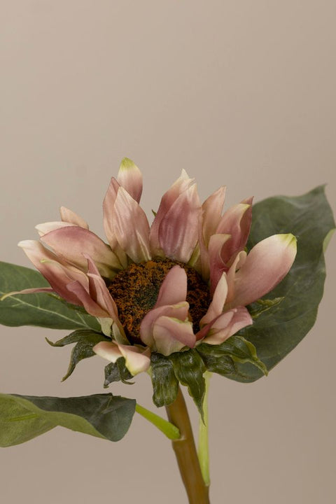 Blomst - Solsikke H50cm Rosa