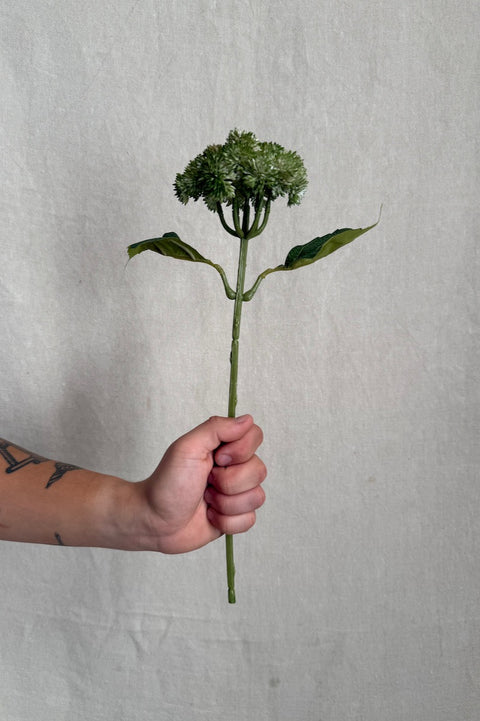 Blomst - Sedum H37cm Grønn
