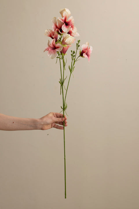 Blomst - Petunia H90cm Rosa