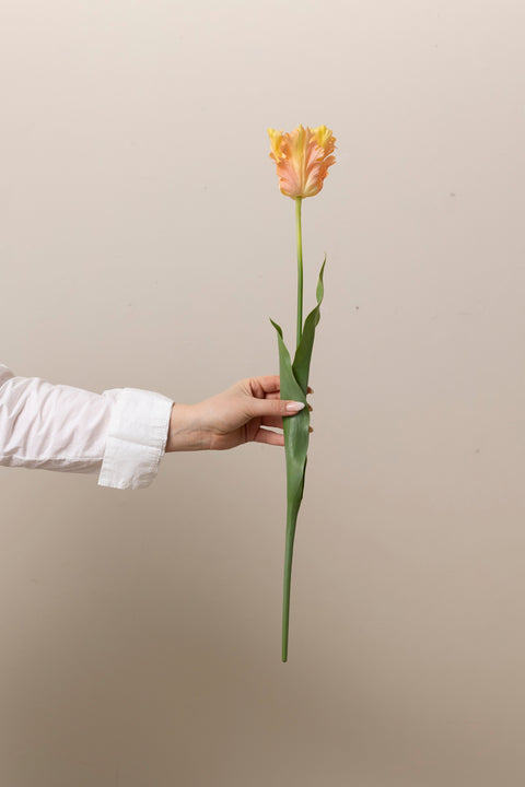 Blomst - Tulipan H70cm Rosa