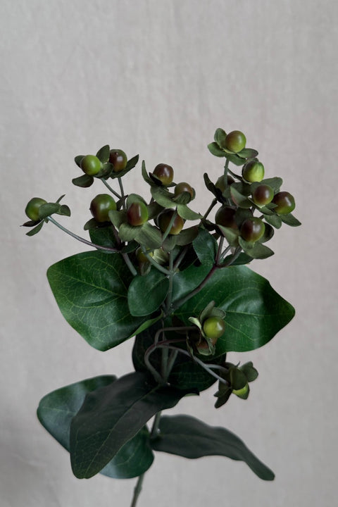 Blomst - Perikum H68cm Grønn