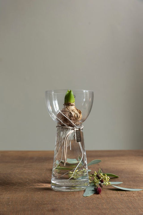 Løkvase - H19cm Glass