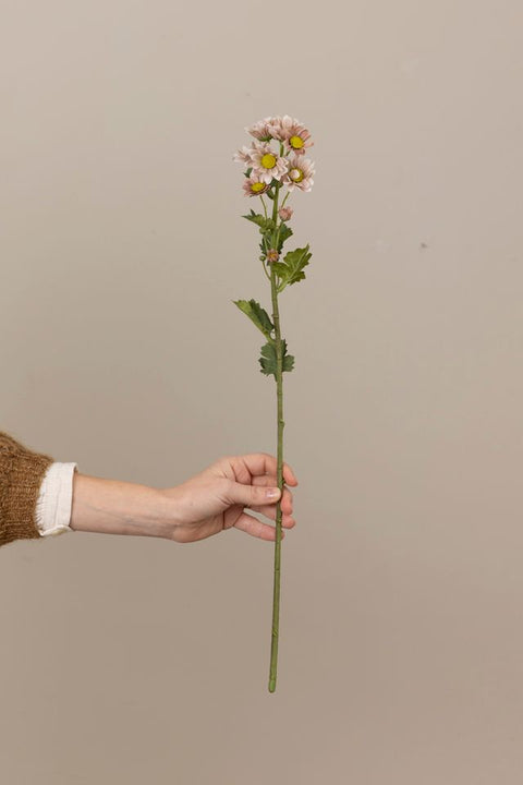 Blomst - Krysantemum H58cm Rosa