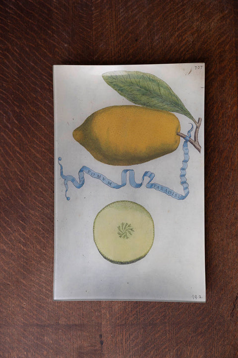 Glassfat - Decoupage Limon 307