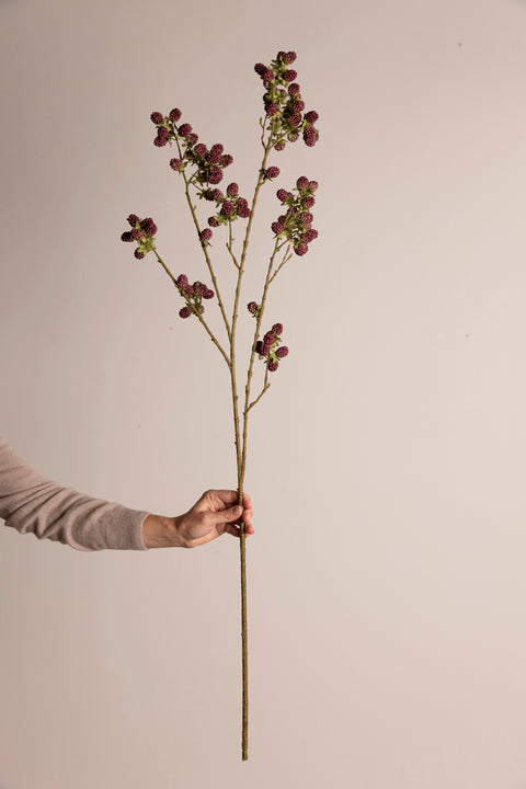 Kvist - Black Berries H107cm Red