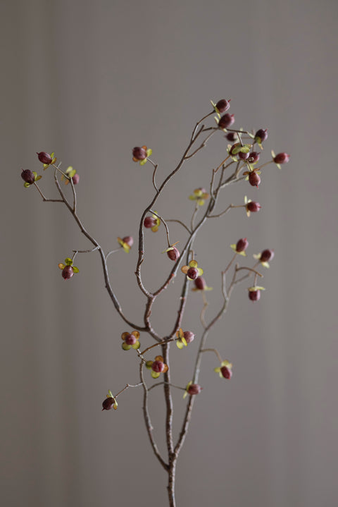 Kvist - Bærkvist H55cm Rød