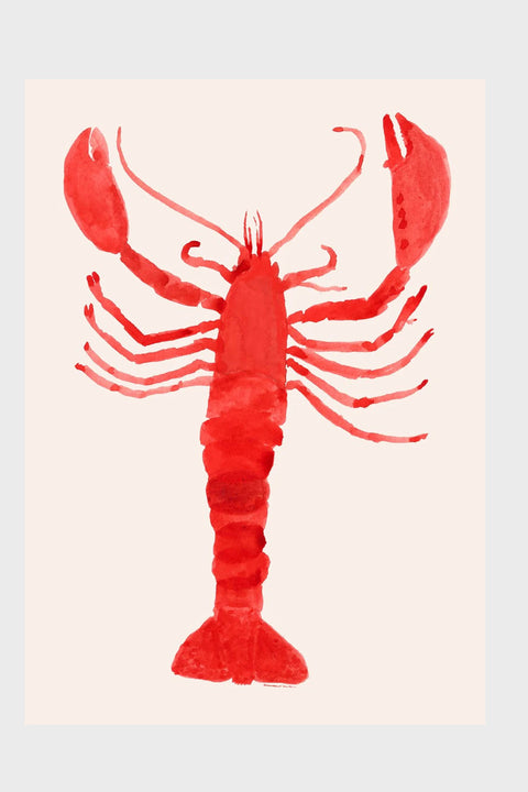 Plakat - Langosta A4