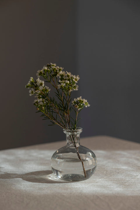 Vase - Romance S Clear H9cm