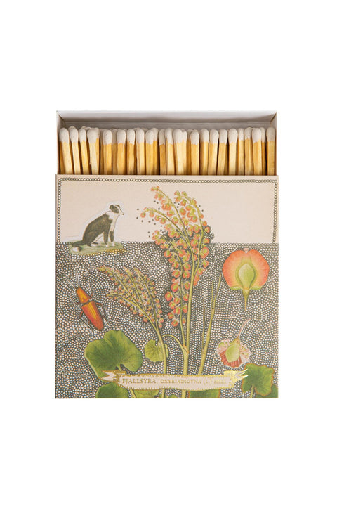 Fyrstikker - Chien Botanical Drawing